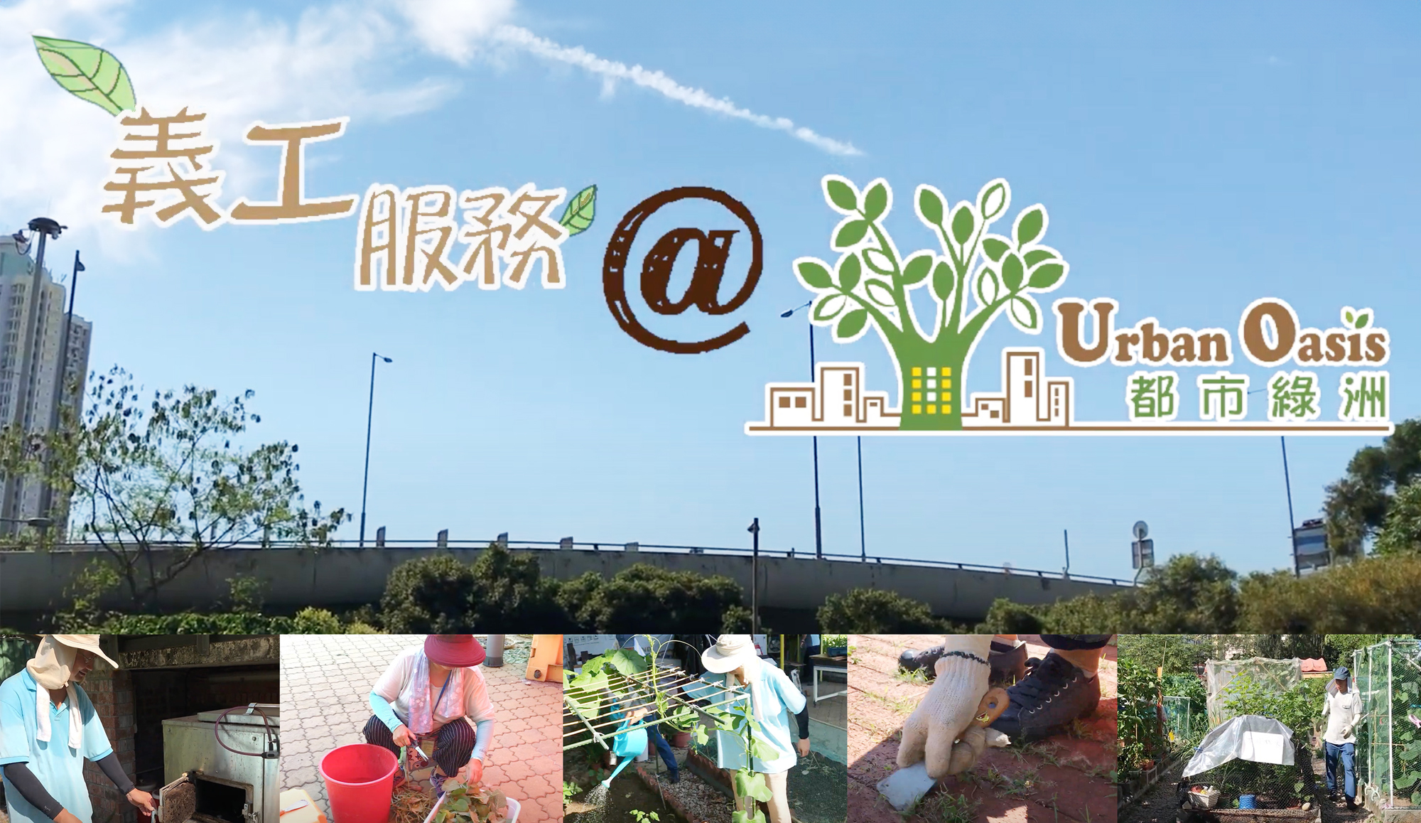 封面圖片 - 為城市築起農圃「都市綠洲」義工的日常服務