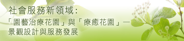 社會服務新領域: