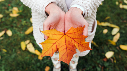 Cover Image - Health Care Tips in Autumn