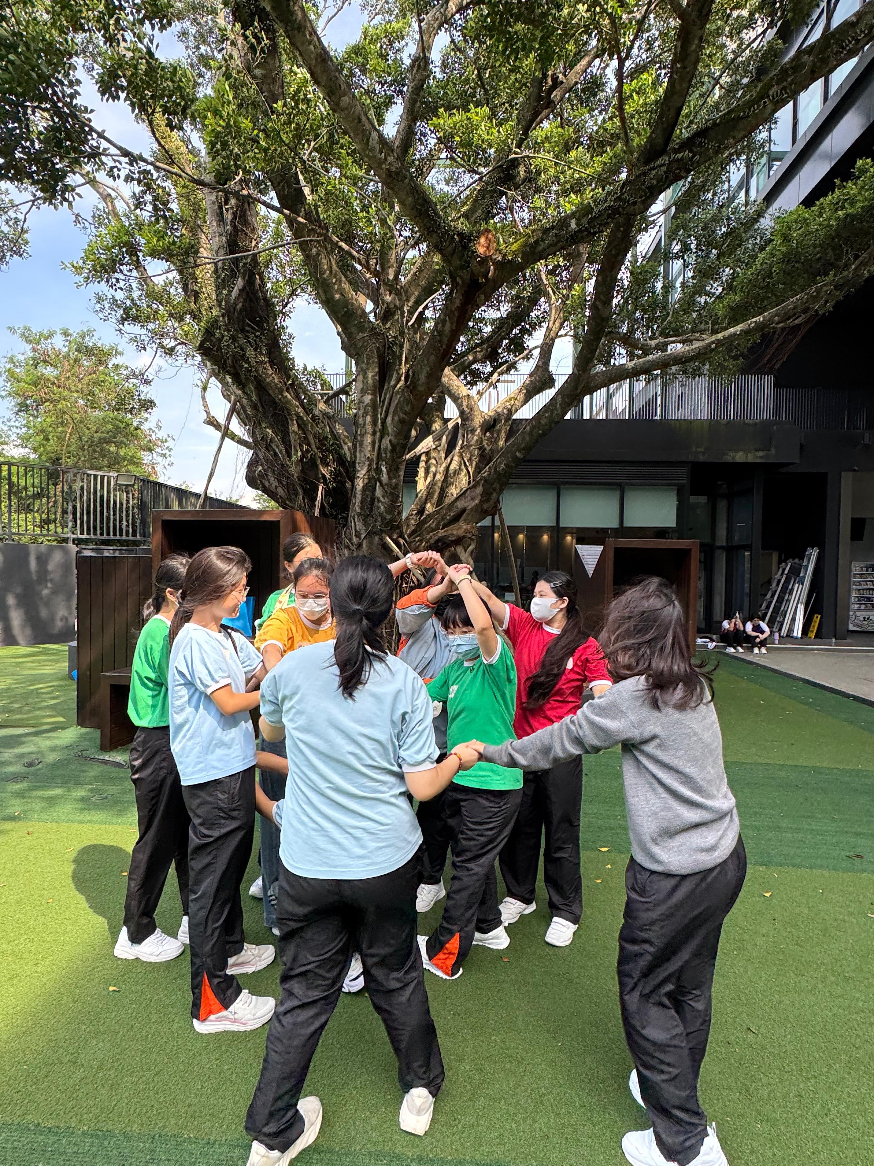 SSAmentorshipprogram2025